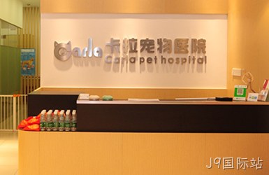 卡拉宠物网站设计案例