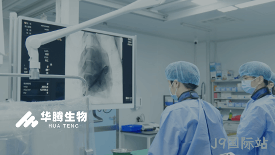 外贸网站设计