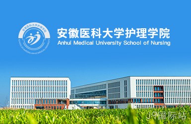 点击查看安徽医科大学护理学院案例