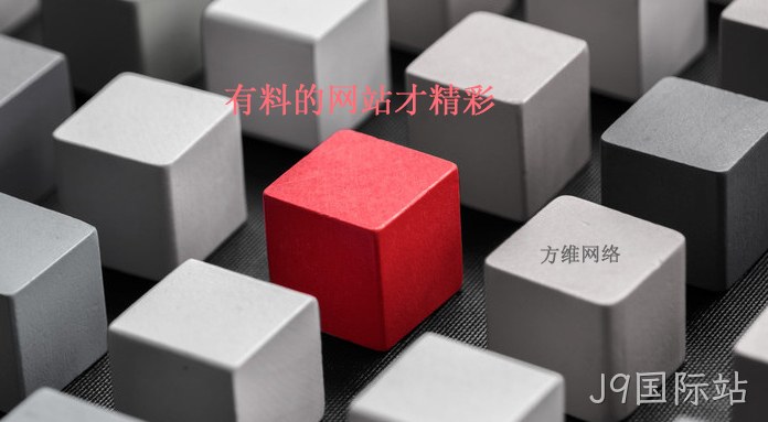 有料的网站才精彩