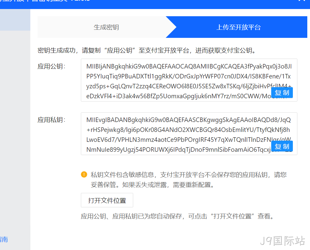生成的应用公钥