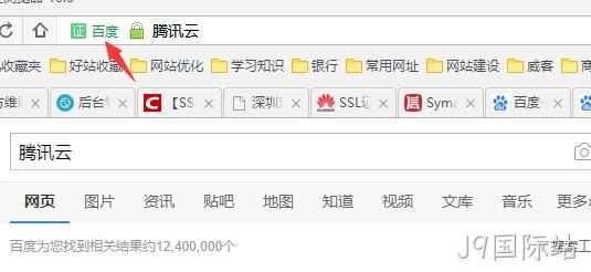 HTTPS 公司名显示2