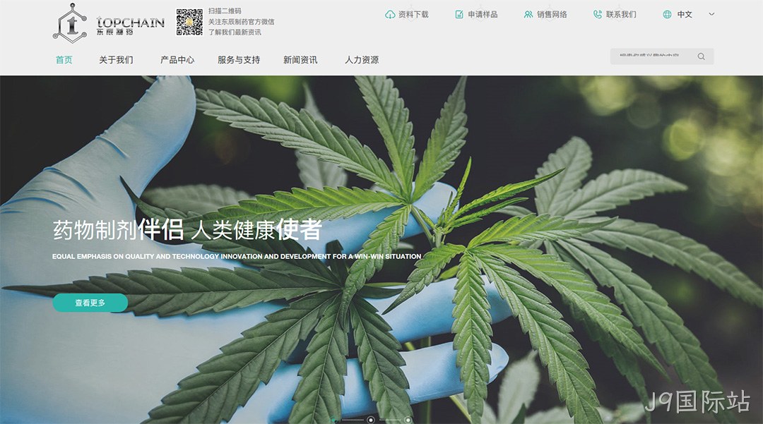 制药公司网站建设