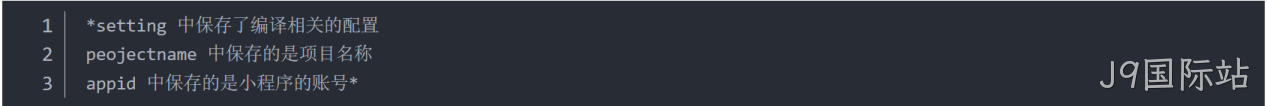 JSON 配置文件