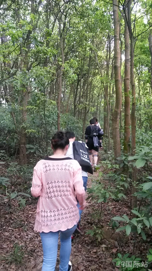 J9国际站仙湖行