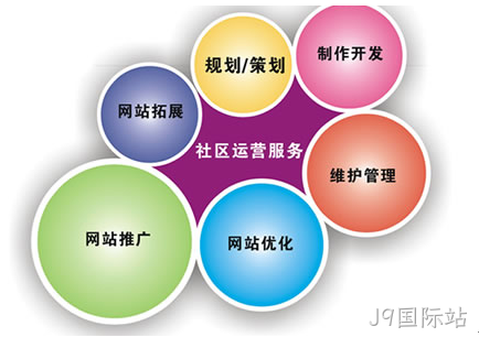 网站开发