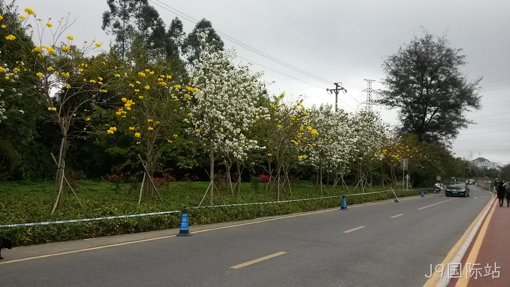 J9国际站仙湖行