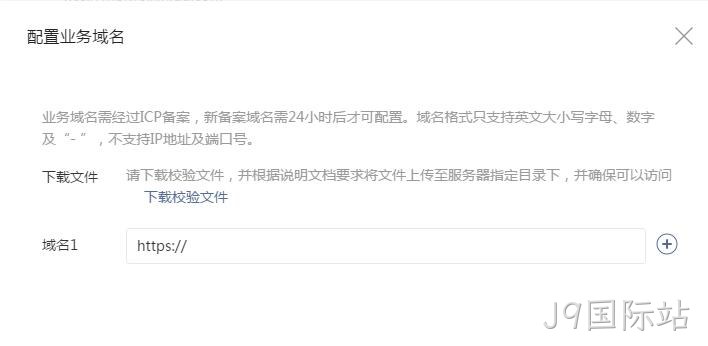 配置业务域名要求